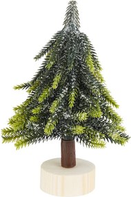 TREE OF THE MONTH fenyőfa talpon 19 cm