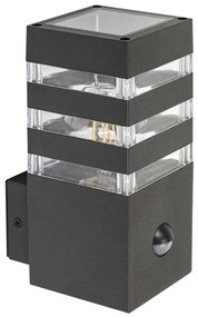 Rabalux 77025- Kültéri fali lámpa érzékelővel ANKARA 1xE27/12W/230V IP44 77025