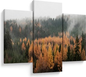 Kép - őszi erdő (90x60 cm)