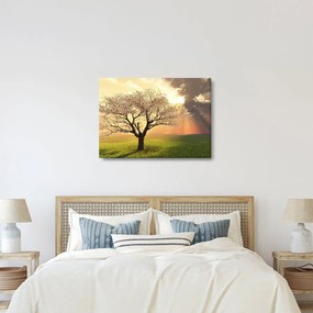 Fa képe a réten (70x50 cm)