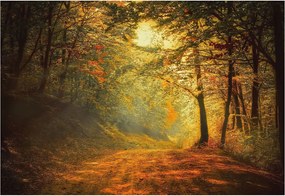 Stílusos Dekoratív Fotótapéta Flizelin Őszi tájkép 152x104 Ragasztó