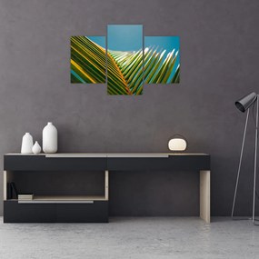Kép - A pálmalevél részlete (90x60 cm)