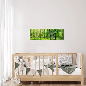 Kép - Tavaszi lomberdő (órával) (90x30 cm)