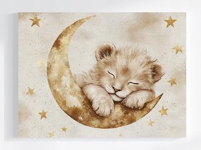 Vászonkép Canvas Ég Hold Csillagok Álom Kis Oroszlán Oroszlánkölyök 100x75