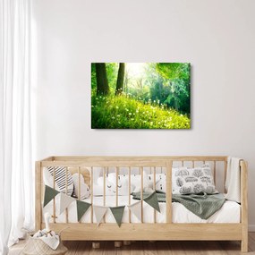 Kép - Varázslatos rét tele pitypanggal (90x60 cm)