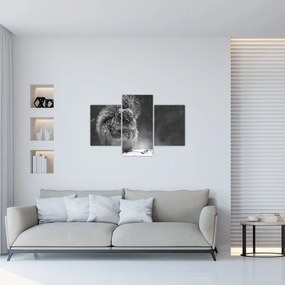 Kép - Mókus télen (90x60 cm)