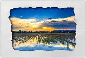 Poszterek 60x40 Kilátás Tájkép