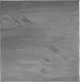 vidaXL OVIEDO antracitszürke rövid szálú szőnyeg 120 x 120 cm