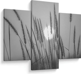 Kép - Mező naplementében (90x60 cm)