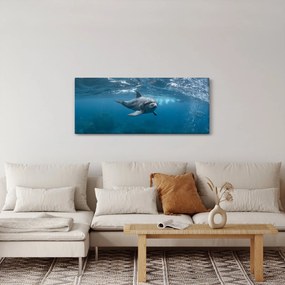 Kép - Delfin a felszín alatt (120x50 cm)