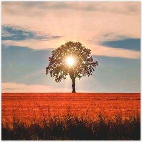 Poszterek 140x140 Kilátás Tájkép