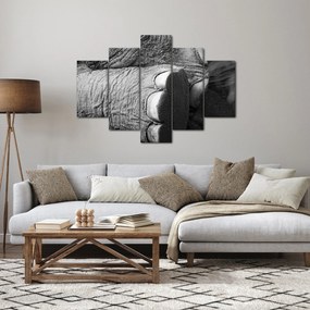 Kép - Elefánt láb (150x105 cm)