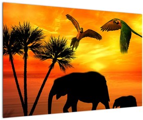 Kép - papagájok és elefántok (90x60 cm)