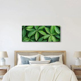 Kép - Levelek harmatcseppekkel (120x50 cm)