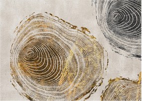 Kép - Törzsek absztrakciója (70x50 cm)