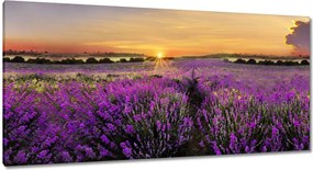 Vászonkép 115x55 Levendula naplemente