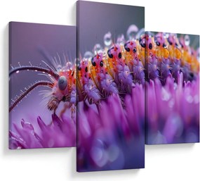 Kép - Caterpillar (90x60 cm)