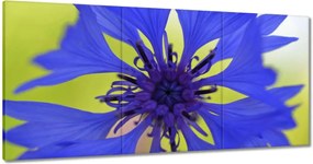 Festmények 120x60 Chaber