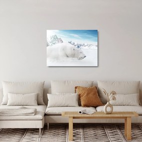 Kép - Jegesmedve (üvegen) (70x50 cm)