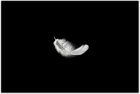 Poszterek 120x80 Bolyhos fehér toll