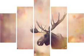 Kép - jávorszarvas az őszi levelekben (150x105 cm)