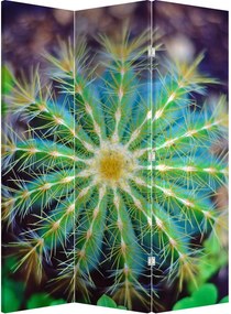 Paraván - Kaktusz (126x170 cm)