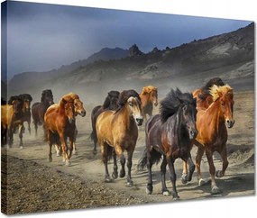 Vászonkép 40x30 Ló Lovak Lovaglás