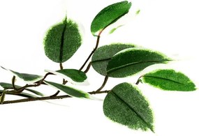 PLANTASIA Műnövény fikusz 160 cm