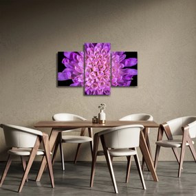 Részletes virágkép (90x60 cm)
