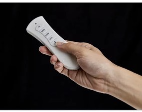 FANAWAY 212982- Mennyezeti ventilátor EVORA 2xE27/20W/230V króm + távirányítás