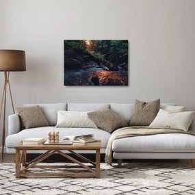 Hegyi folyó képe (üvegen) (70x50 cm)