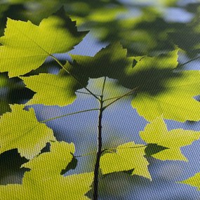 Kép - juhar levelek (120x50 cm)