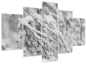 Kép - Havas ágak (150x105 cm)
