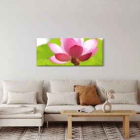 Lótuszvirág kép (120x50 cm)