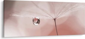 Kép - Egy csepp harmat (120x50 cm)