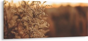 Virágzó fű képe (120x50 cm)