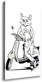 Vászonkép Cat férfi ocv-104222279