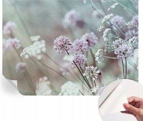 Öntapadós tapéta Divatos 3D fali ragasztóval Mezei virágok 208x146 cm