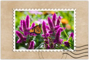 Poszter 60x40 Pillangó a virágokon