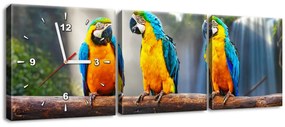 Gario Órás falikép Színes papagájok - 3 részes Méret: 90 x 30 cm