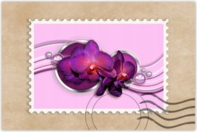 Poszter 60x40 Lila orchidea
