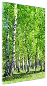 Akril üveg kép Nyírfa erdő oav-155145245