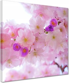 Vászonkép 30x30 Japán cseresznyefa ág