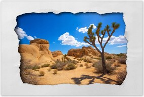 Poszterek 120x80 Sivatagi tĂĄj
