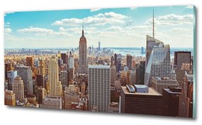 Üvegkép nyomtatás New york-i járat madár osh-133162590