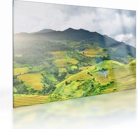 Ültetvények képe (üvegen) (70x50 cm)