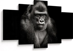 Kép - Gorilla (150x105 cm)
