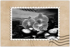 Poszterek 90x60 Orchideák a köveken