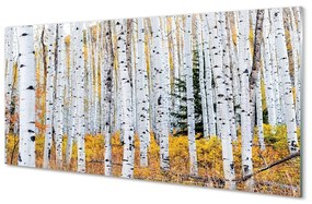 Üvegképek őszi nyírfa 100x50 cm