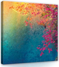 Vászonkép 80x80 Őszi levelek fa színek ősz természet nyugalom idő